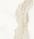 Calacatta Gold Marble