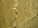 Golden Beach Granite 